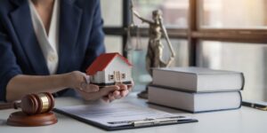 property solicitor